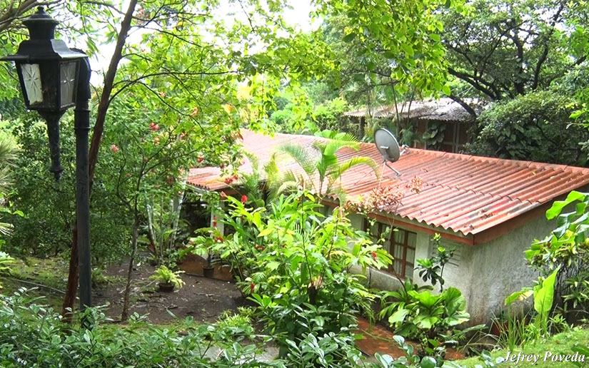 alma2